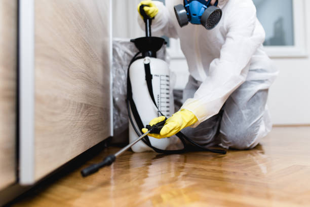 Pest Control for Restaurants in Brownstown, PA