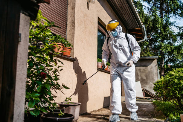 Pest Prevention Services in Brownstown, PA