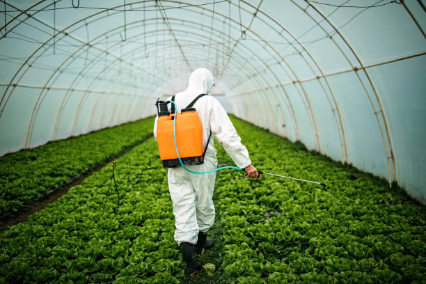 Best Pest Prevention Services  in Brownstown, PA