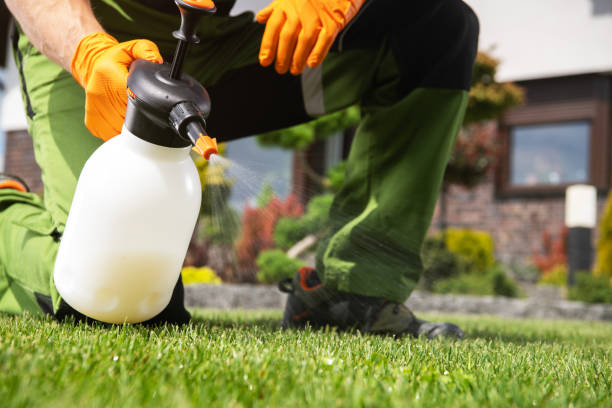 Best Flea Control Services  in Brownstown, PA