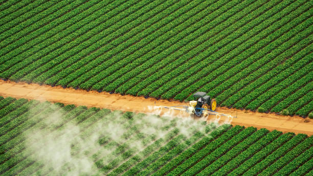 Best Local Pest Control Services  in Brownstown, PA
