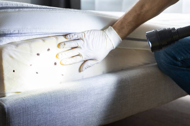 Best Pest Control Near Me  in Brownstown, PA