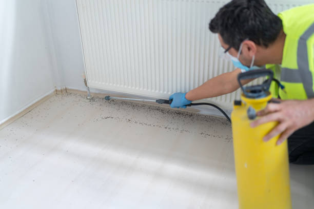 Best Ant Control Services  in Brownstown, PA